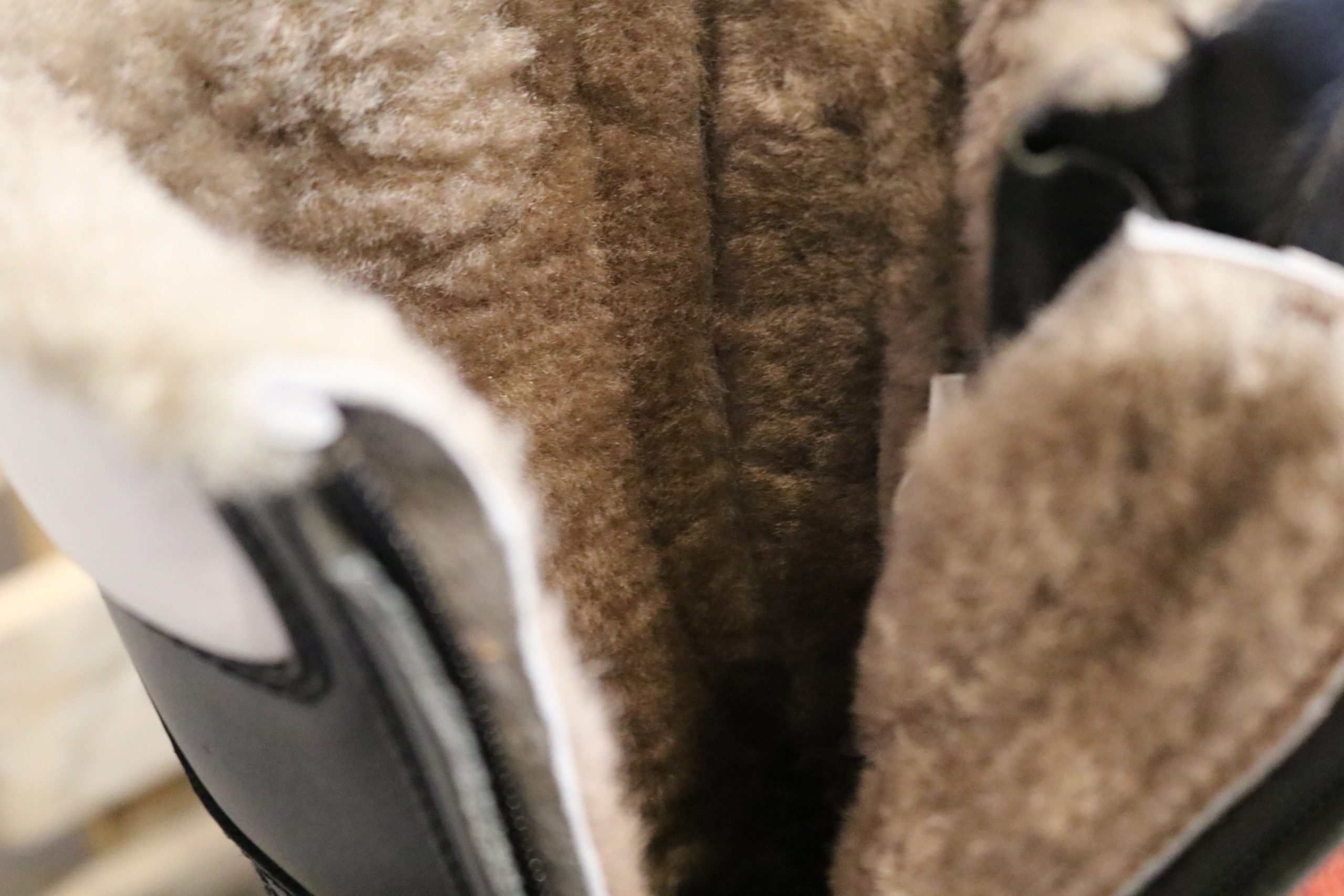 icelandic beles scaled