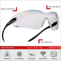 1288437132_cobra_cont_L