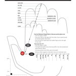 Glove-Sizing-Guide-wScale