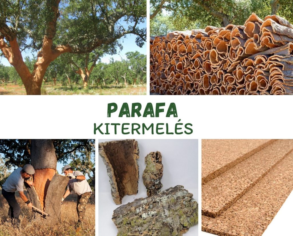 Parafa e1684495417604