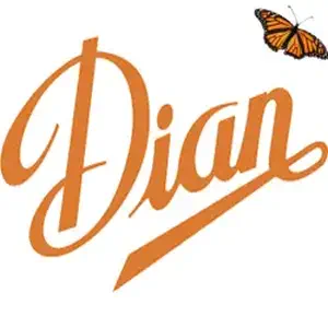 dian 1