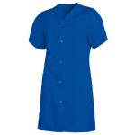 Burgia_eukopeny_rovidujju_kiralykék_1_BS_1631