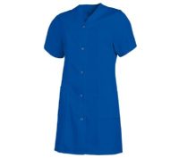 Burgia_eukopeny_rovidujju_kiralykék_1_BS_1631